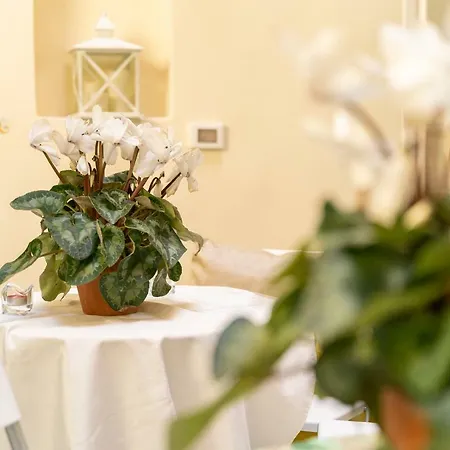 Napulitandream 게스트하우스 3*